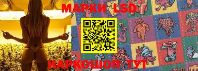 спайс Кандалакша