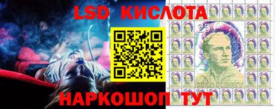 ГАЛЛЮЦИНОГЕННЫЕ ГРИБЫ Камышлов
