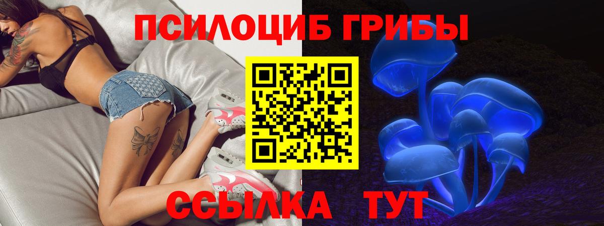 где продают наркотики  Псилоцибиновые грибы Cubensis  Вход с VPN  Курчатов 